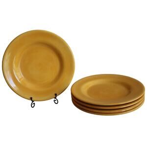 SALUTE Yellow Plate Set of 5 Hand Painted Collection Large Dinner Salad Pasta